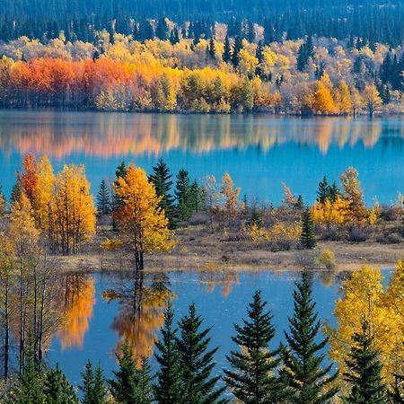 Sunny Tranquil Woods Turret In Falcon Crest Lodge Canmore Bagian luar foto