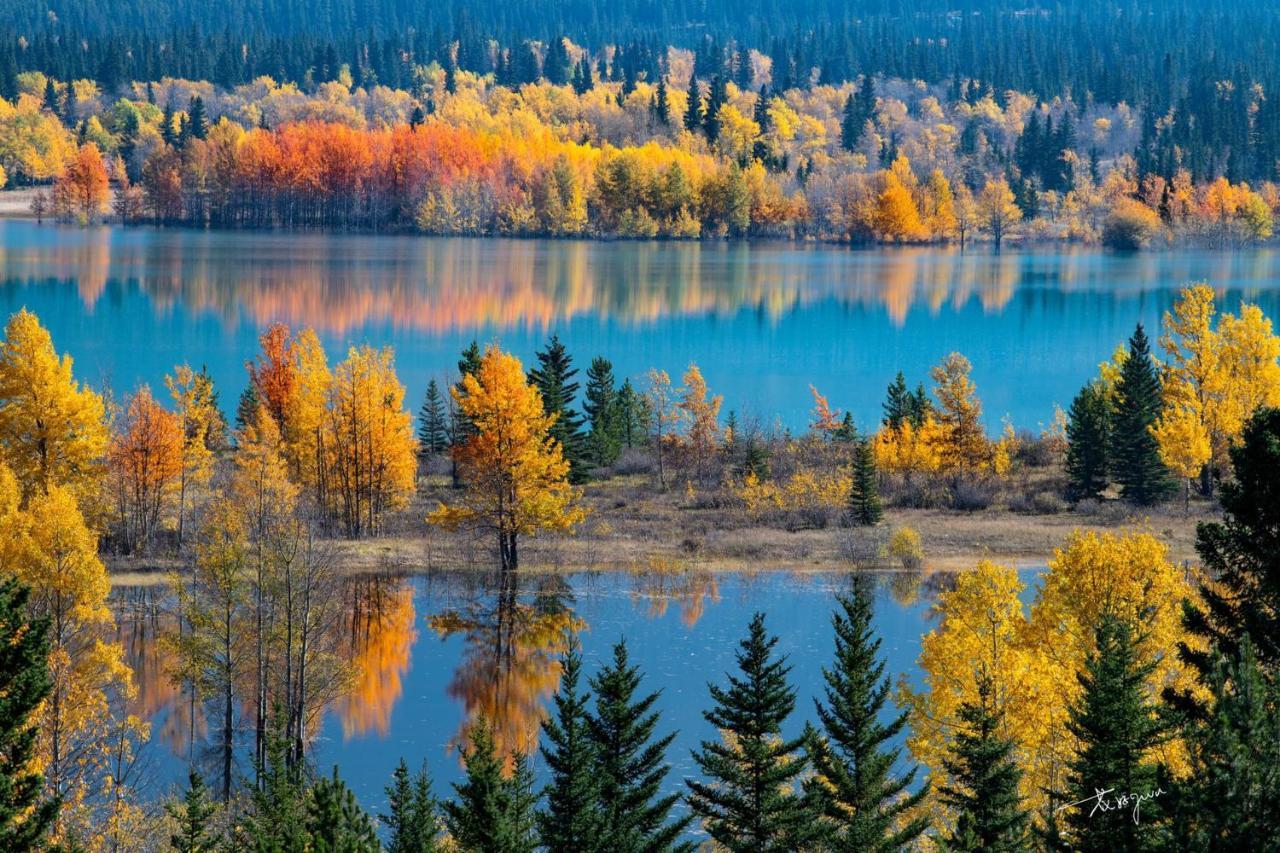 Sunny Tranquil Woods Turret In Falcon Crest Lodge Canmore Bagian luar foto